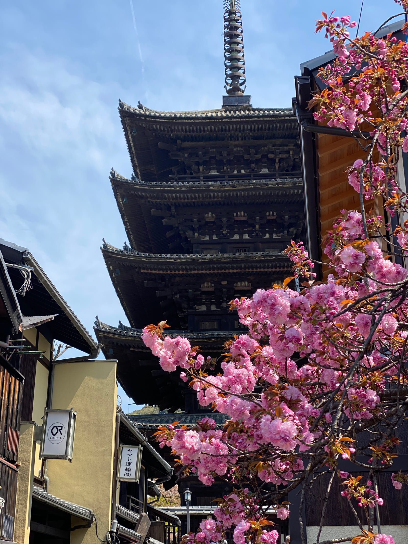 青空の下の塔の全容